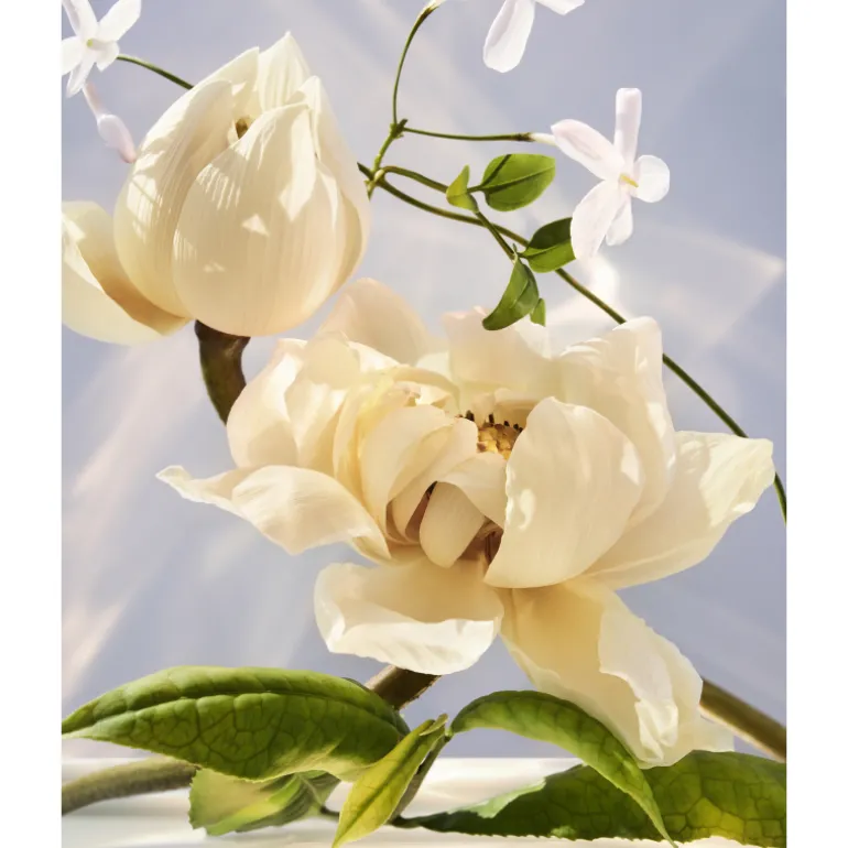 Omnia Crystalline Eau de Parfum