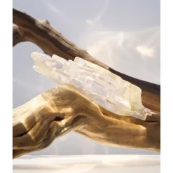 Omnia Crystalline Eau de Parfum