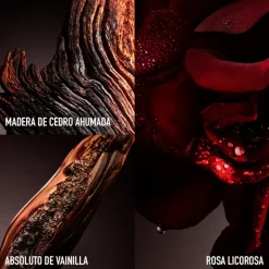 ONE MILLION ELIXIR EAU DE PARFUM VAPORIZADOR