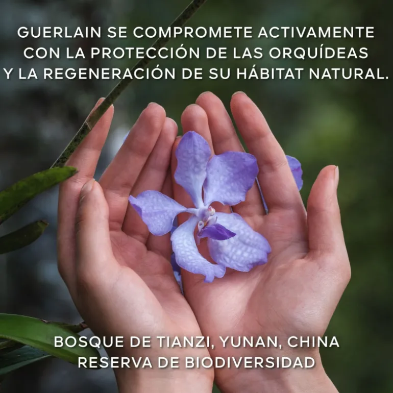 Orchidée Impériale La Crema de Longevidad