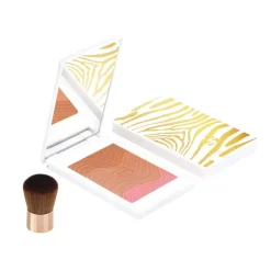 PHYTO-TOUCHE POUDRE ÉCLAT SOLEIL