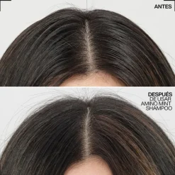 REDKEN AMINO MINT CHAMPÚ 300ML