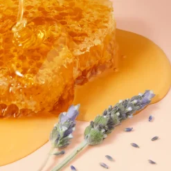 RÊVE DE MIEL® BÁLSAMO LABIAL ULTRA HIDRATANTE 15ML