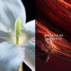 SAMSARA EAU DE PARFUM 75ML