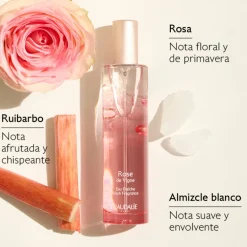 Set  Agua Fresca Rose de Vigne