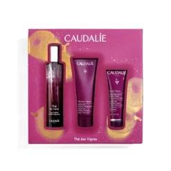 Set Agua Fresca Thé des Vignes + Regalos