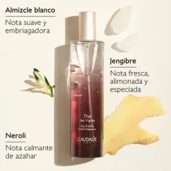 Set Agua Fresca Thé des Vignes + Regalos