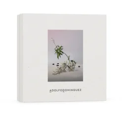 SET EDP JAZMÍN TONKA ADOLFO DOMINGUEZ