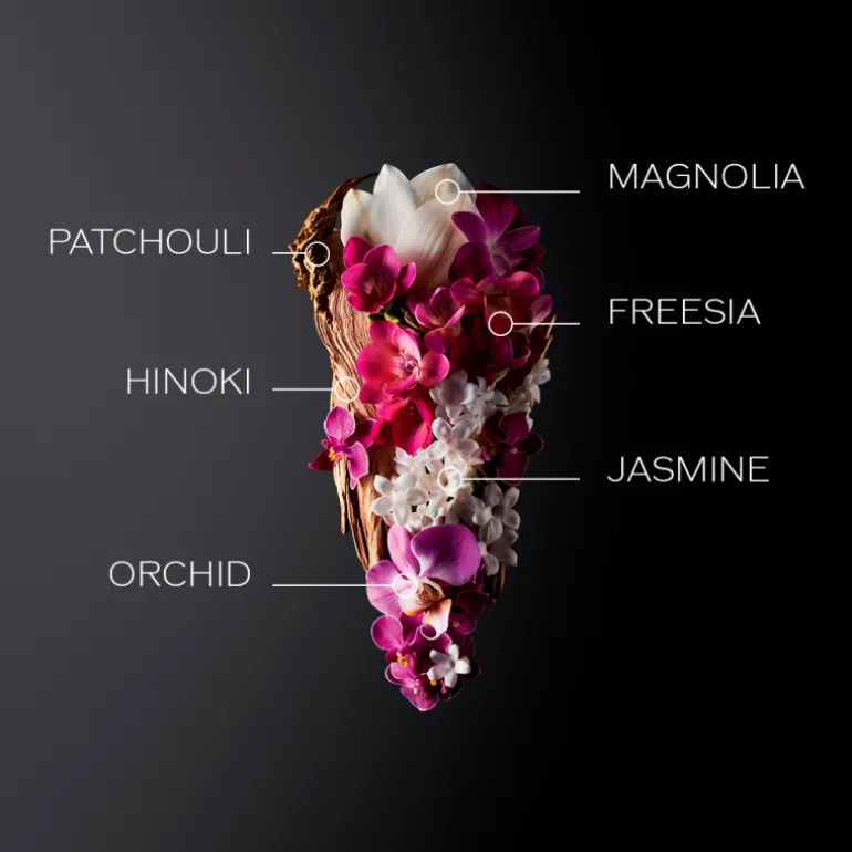 Set Ginza Eau de Parfum Holiday