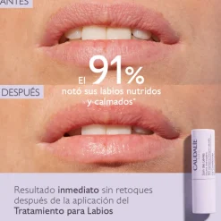 STICK DE LABIOS 4,5G