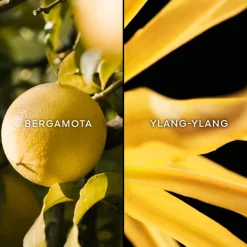 Terracotta Eau de Toilette