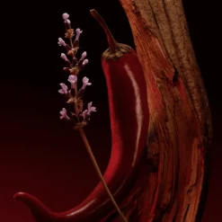 The Scent Elixir Parfum Intense para Hombre