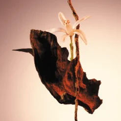 The Scent Parfum para Mujer