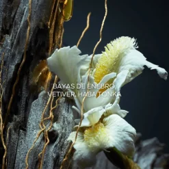 VETIVER LE PARFUM EAU DE PARFUM VAPORIZADOR