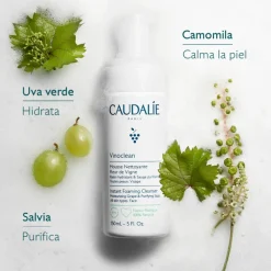 VINOCLEAN ESPUMA LIMPIADORA