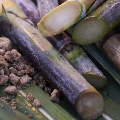 Waso Satocane Purifying Scrub Mask 80 ml